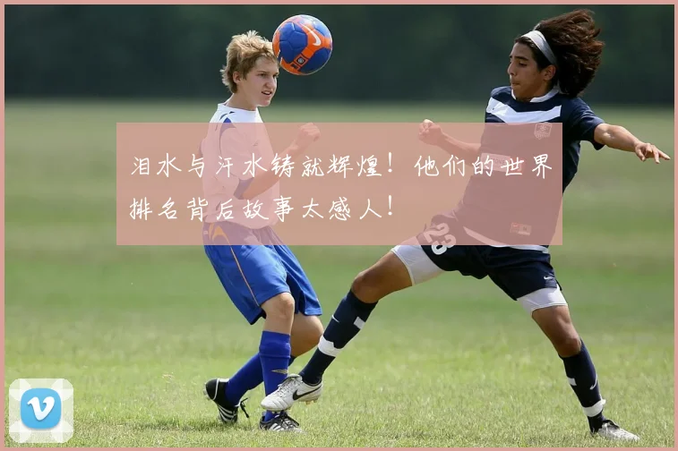 泪水与汗水铸就辉煌！他们的世界排名背后故事太感人！